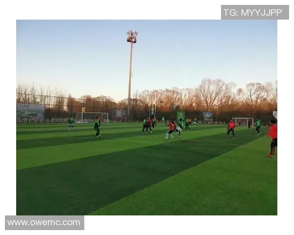 南京足球队的转型之路探索与挑战精英赛特别报道全景呈现