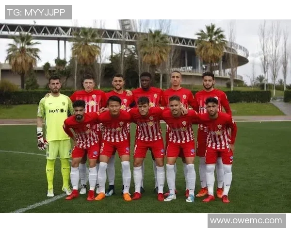 南京足球队的默契配合与战术分析探讨