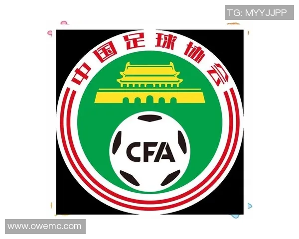 足球古老师带你领略足球的魅力与智慧，解锁比赛背后的深层次解析与战术思考