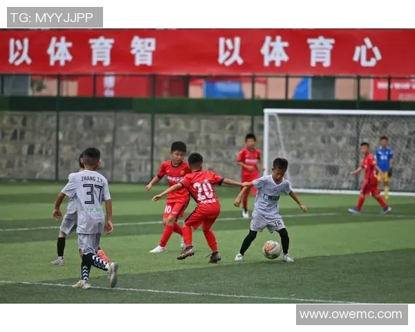 足球裁判夏的执法之路与挑战：从绿茵场到心灵的成长与坚持