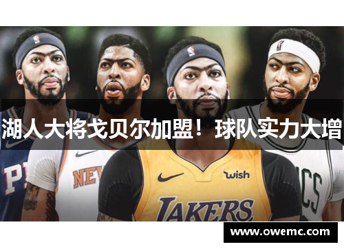 湖人大将戈贝尔加盟！球队实力大增