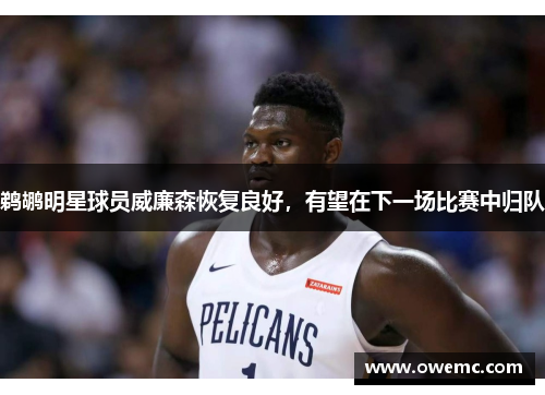 鹈鹕明星球员威廉森恢复良好，有望在下一场比赛中归队