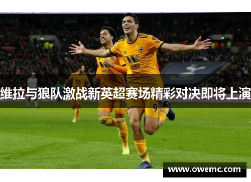 维拉与狼队激战新英超赛场精彩对决即将上演